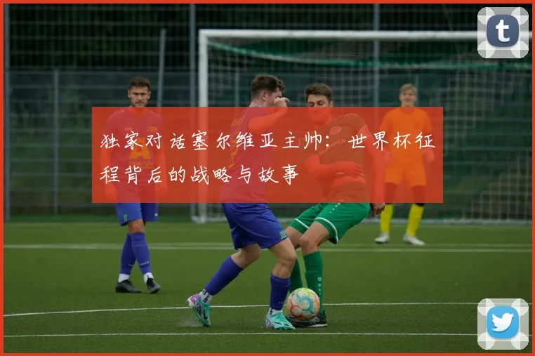 独家对话塞尔维亚主帅：世界杯征程背后的战略与故事